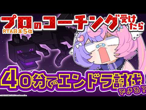 【 エンドラRTA 】朝からまったりランダムシード!エンドラ討伐するぞ~! #マイクラ 【 #若魔藤あんず 】