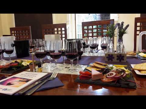 download lagu mp3 mp4 Red Wine Tasting Manchester, download lagu Red Wine Tasting Manchester gratis, unduh video klip Red Wine Tasting Manchester