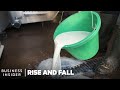 The Rise And Fall Of Milk | Rise And Fall