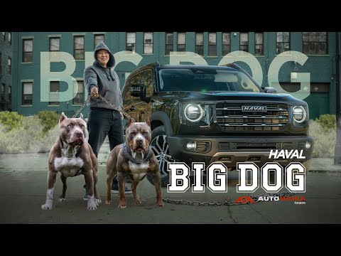 ОБЗОР HAVAL DARGO (BIG DOG) 2021г. SIDE SHEPHERD EDITION / КИТАЙСКИЙ ГЕЛИК!!