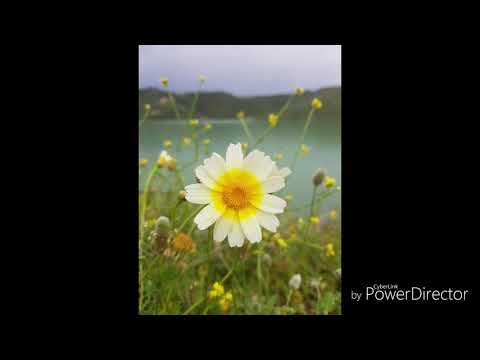 Sourate 50. Q (Qaf)  à  Sourate 57. Le Fer (Al-Hadid)