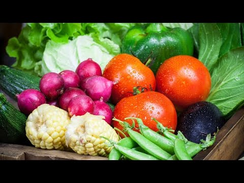  9月に植える野菜は何ですか？  庭園