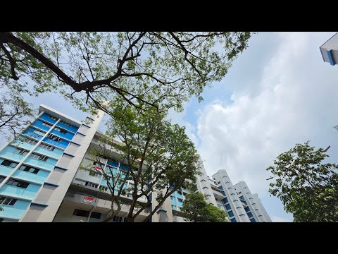 415 Ang Mo Kio Avenue 10, 415 Ang Mo Kio Avenue 10, Ang Mo Kio / Bishan / Thomson, 3 Bedrooms, 990 sqft, HDB Flat For Sale, by Sharifah M Alsagoff, 500253154 - PropertyGuru.com.sg