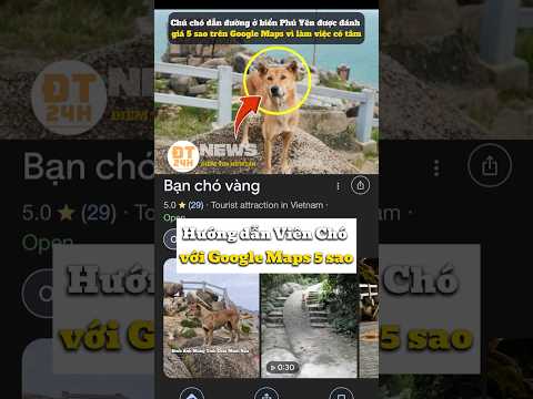 Hướng dẫn Viên Chó với Google Maps 5 sao #tintuc #giaitri #cuocsong