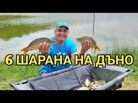 Разбих шараните на язовир Геранея! Кеф и адреналин!