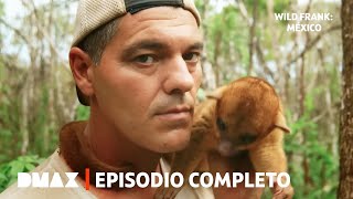 Thumbnail del capítulo