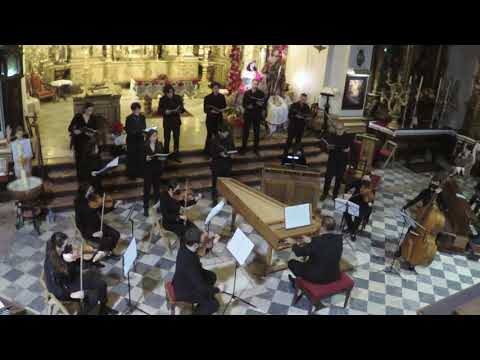 OBCáD | Stella quam viderant (Juan Domingo Vidal)