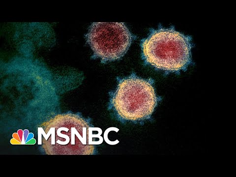 米国初のコロナウイルス死亡者がワシントン州で確認されました。 (First U.S. Coronavirus Death Confirmed In Washington State | MSNBC)