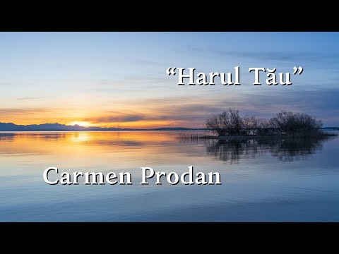 Carmen Prodan   "Harul Tau"