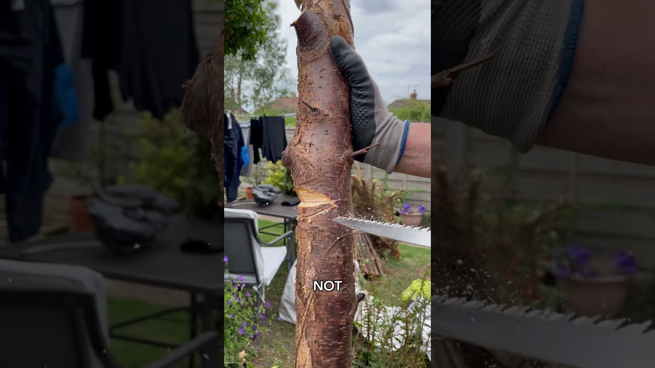 Solar-Lit Paradise Project: Part 2 | The Solar Centre