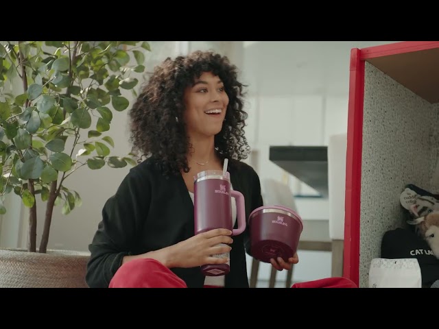 Target – The Pets of Tarjay