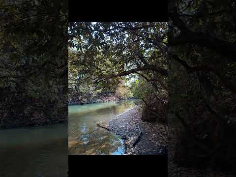 Ribeirão das Brancas, S. João da Aliança, GO.