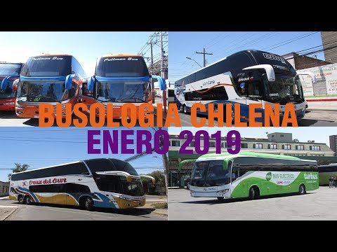 Busologia Chilena 2019 - Mes Enero
