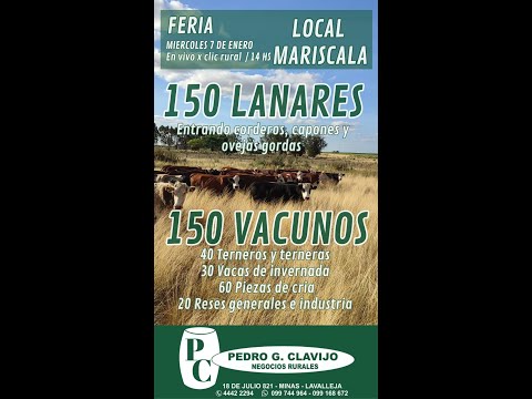 7/1/2026 Feria Mensual - Local Mariscala - Lavalleja - Pedro G. Clavijo