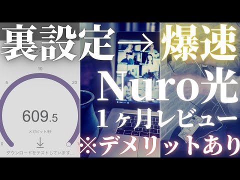 ニューロドンについて詳しく解説