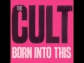 The Cult   Born Into This   I Assassin