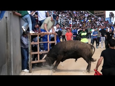 Toros Bravos Villoria 2023