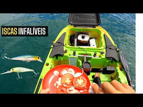 After changing the size of the lure, I secured lunch at sea - Fishing!