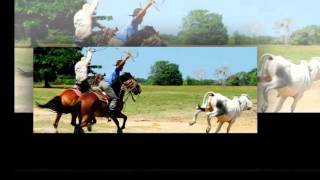 La Camisa Conuquera Lyrics English Translation