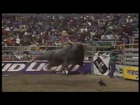 White Pages bucks Terry Don West - 98 PBR Calgary