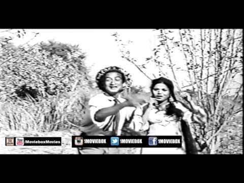 I LOVE YOU, YOU LOVE ME - ZARIF & ZUBAIDA KHANUM - PAKISTANI FILM YAKKAY WALI