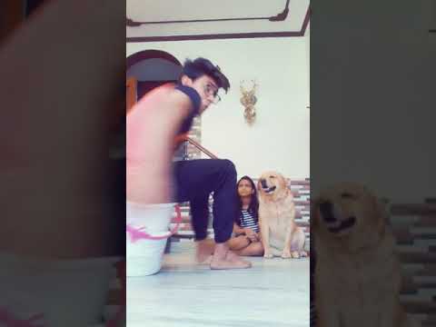 smart dog leo❤ | talking dog leo | old video #shorts