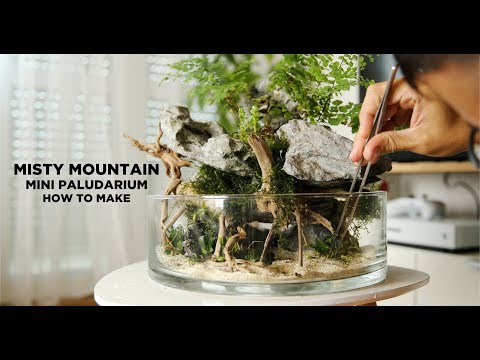 Watch Video on YouTube