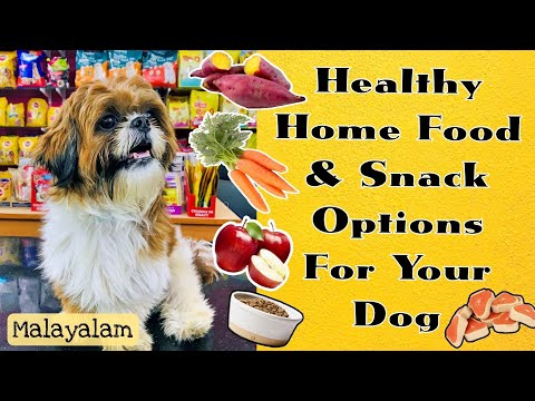 🍖Healthy Homemade Food & Snacks For Your Dog || Malayalam || Pavi's Pawdcast