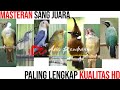 KOMBINASI MASTERAN PALING LENGKAP UNTUK SANG JUARA
