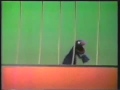 Sesame Street Grover S Bells German