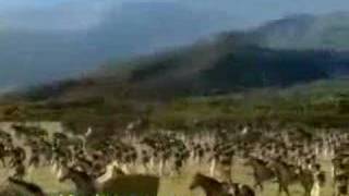 CANCIÓN:  INDEPENDENCIA DE CHILE, ROCK. HEROES DE CHILE