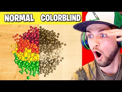 How COLORBLIND people see things! (SHOCKING)