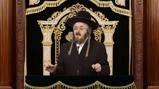 פרשת נח | אור החיים הקדוש | הרב מנחם מנדל פומרנץ (ארגון ענפים) - התמונה מוצגת ישירות מתוך אתר האינטרנט יוטיוב. זכויות היוצרים בתמונה שייכות ליוצרה. קישור קרדיט למקור התוכן נמצא בתוך דף הסרטון