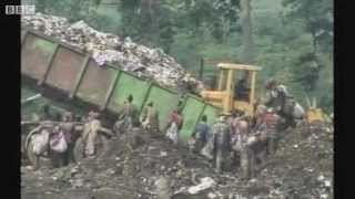 bbc original trafigura video