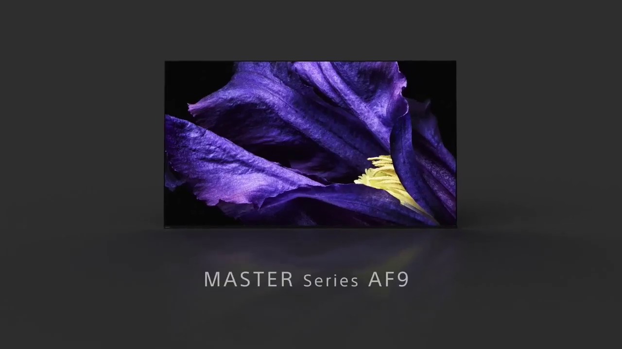 Sony 65" 4K Smart TV (KD65AF9BR2) video preview