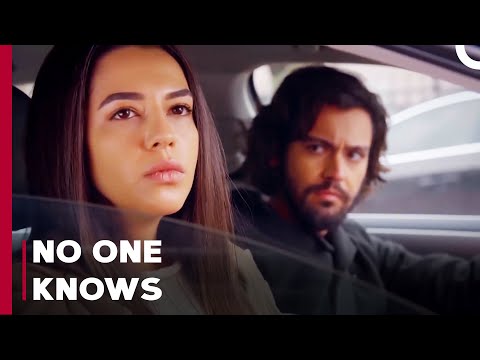 Is Aslım Ready To Get Married? - Can't Stop Loving You