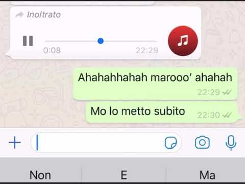 “Una przione di patatine e una vrancata di kociak e maionese” Messaggi vocali Napoli