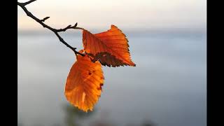 Download lagu Mytha - Saat kau masih mencintaiku (karaoke lirik) mp3