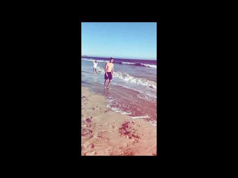 Beach Day  Song (Mi gnaa - DJ Nar ft Martin Mkrtchyan)