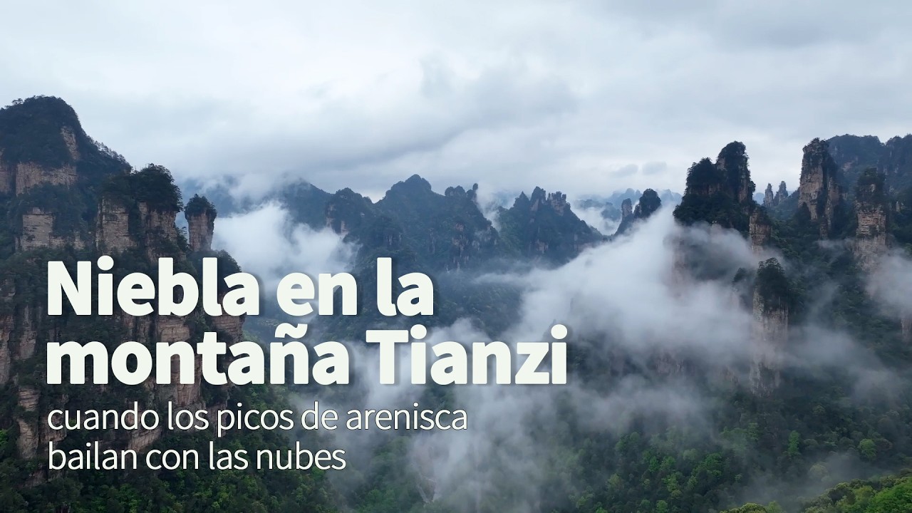 Niebla en la montaña Tianzi: cuando los picos de arenisca bailan con las nubes
