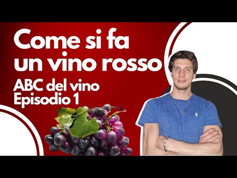 Come si fa un vino ROSSO ? ABC del Vino Ep.1