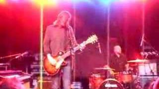 pin your wings -copeland