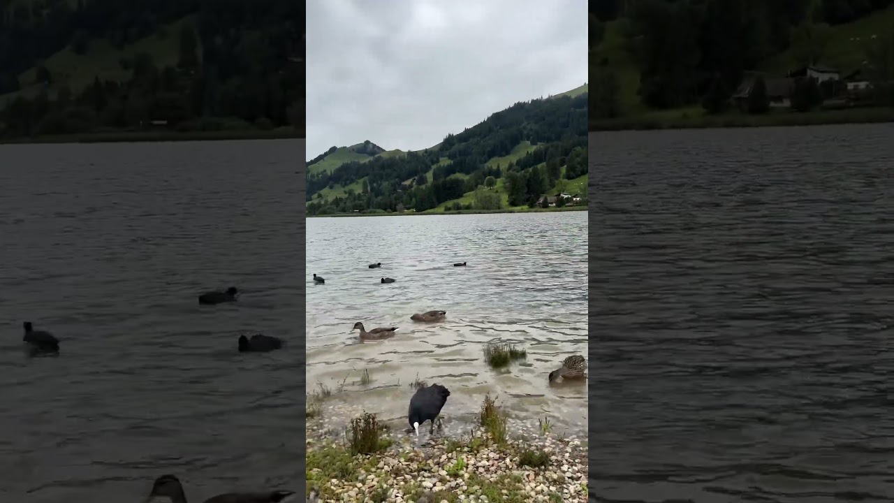 YouTube Short thumbnail