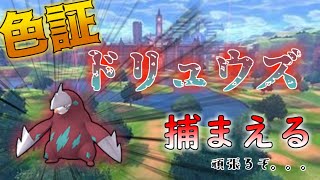 朝から色証モグラ探す人