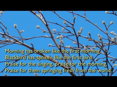 Morning Has Broken (Tune: Bunessan - 3vv) [with lyrics for congregations]