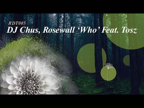 CHUS, Rosewall | Who feat. Tosz (Redolent Music Video)