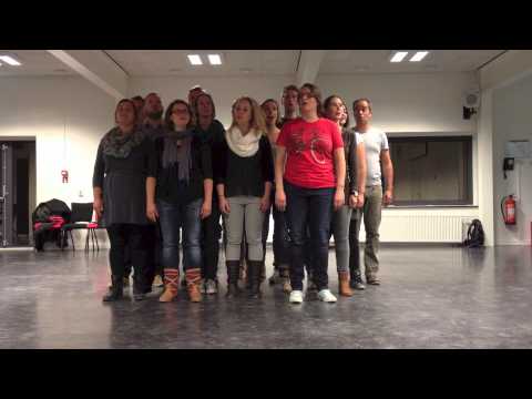 Concert - Vocal group Pitch Control - 23 november 2013 - Theater Zeebelt Den Haag