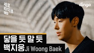 [세로라이브] 백지웅(Ji Woong Baek) - 닿을 듯 말 듯
