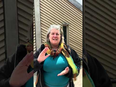 Samsetas in Haithabu