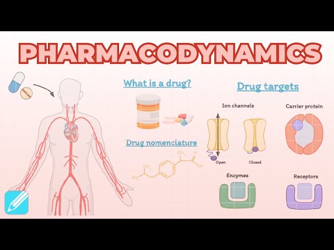 Introduction to Pharmacodynamics | Pharmacology